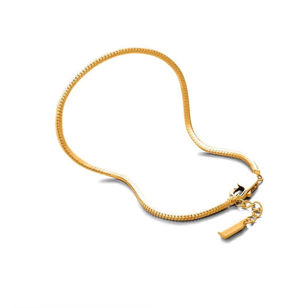 Emanco High Quality Stainless Steel Gold Plated Fashion Snake Bone Chain Bracelet with Simple Style for Men'S Party Wear