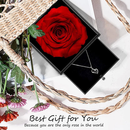 Rosa Roja Real Preservada Con Collar "I Love You" En 100 Idiomas - Regalos De Rosas Eternas Para Mamá Esposa Novia Ella En Navidad Día De San Valentín Día De Las Madres Aniversario Cumpleaños Regalos Para Mujer