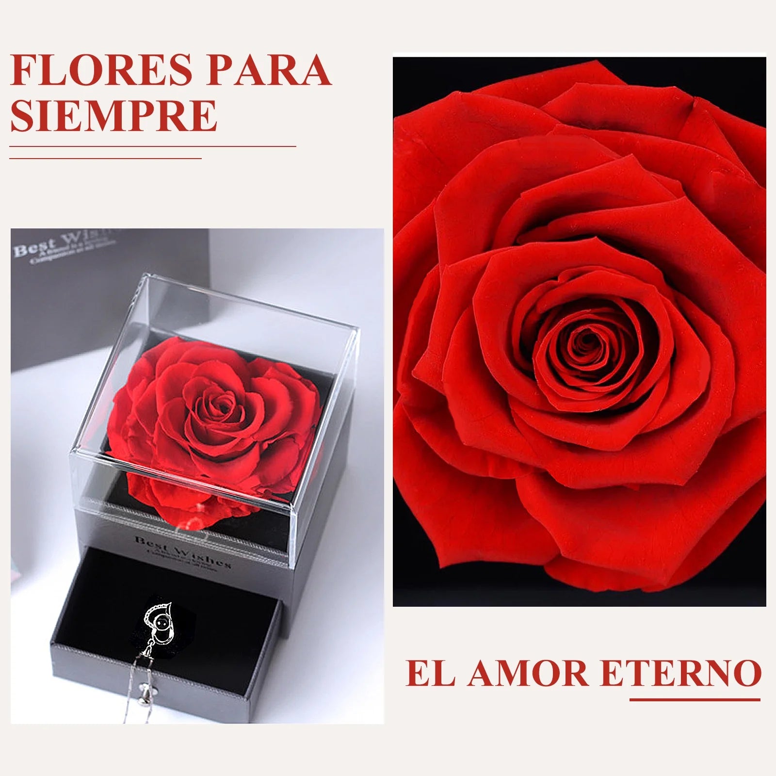 Rosa Roja Real Preservada Con Collar "I Love You" En 100 Idiomas - Regalos De Rosas Eternas Para Mamá Esposa Novia Ella En Navidad Día De San Valentín Día De Las Madres Aniversario Cumpleaños Regalos Para Mujer